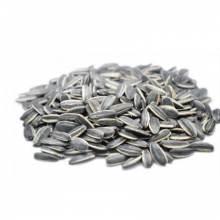 Ηλιόσπορος 120gr