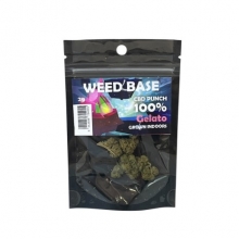 Weed Base CBD Punch 100% Gelato Grown Indoors 2gr