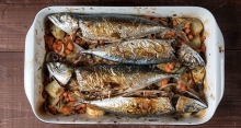 Κολιός Πλακί