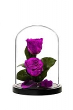 Καμπάνα Γυάλινη με Διπλό Forever Rose
