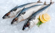 Κολιός (500gr)
