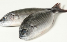 Μελανούρια Β (500gr)