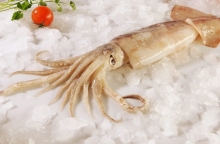 Θράψαλο (500gr)