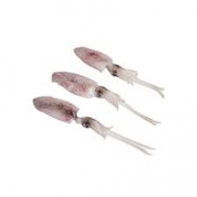 Γόνος Καλαμαράκι (500gr)