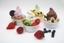 Frozen Yogurt