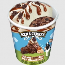 Ben and Jerrys Dulce de Lish
