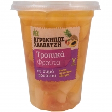 Αγρόκηπος Χαλβατζή Φρουτοσαλάτα Τροπικά Φρούτα 400gr
