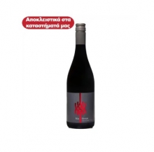 Δύο Δέντρα Κρασί Ερυθρό Merlot και Καλαβρυτινό 750ml