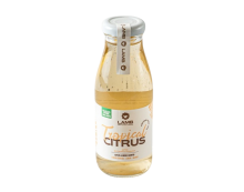 Κρύο Τσάι Tropical Citrus