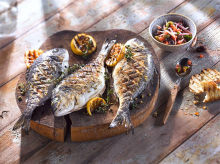 Τσιπούρα Σχάρας