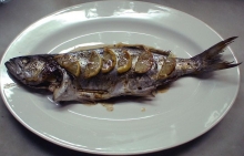 Γοφάρι Σχάρας (κιλό)