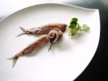 Κολιός Παστός