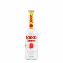 Gordons Space 275ml