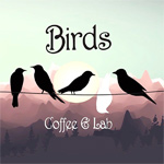 Birds Coffee & Lab