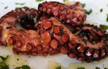 Χταπόδι Σχάρας