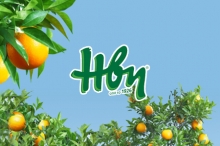 ΗΒΗ Λεμονάδα 330ml