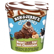Ben and Jerrys Hazelnut 427ml (οκογενειακό)