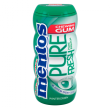Mentos Pocket Bottle Pure Fresh Winter Green