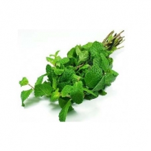 Δυόσμος Μάτσο