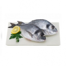 Κόκκαλης Τσιπούρα Ελλάδος