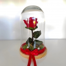 Forever Rose Κόκκινο σε Βιτρό με Σύνθεση 30cm