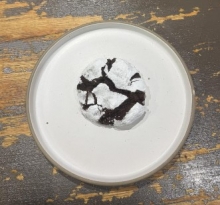 2 Cookies Σοκολάτας (1+1 ΔΩΡΟ)