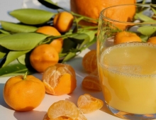 Παραδοσιακό Αναψυκτικό Μανταρινάδα