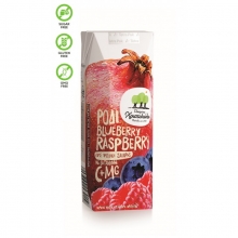 Χυμός Χριστοδούλου Ρόδι, Blueberry, Raspberry 250ml