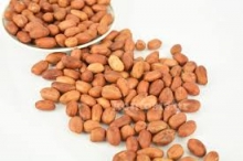 Φιστίκι Peanuts Αργεντινής