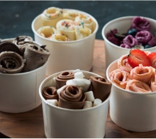 Roll Ice Cream Digestive 250gr-290gr