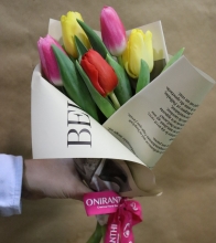 Τουλίπες σε Ματσάκι 5τμχ - Χρώμα Διαθεσιμότητας