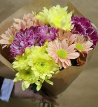 Χρυσάνθεμα σε Ματσάκι - Διάφορα Χρώματα 5τμχ