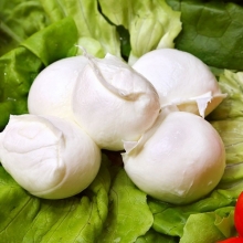 Mozzarella Di Bufala