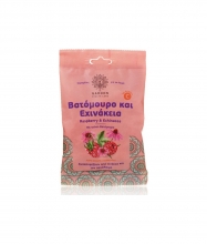 Garden Καραμέλες για το Λαιμό Βατόμουρο και Εχινάκεια