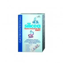 Hubner Silicea Gastro-Intestinal Gel Direct 6 Sachets