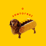 Ο Χοντογκάς