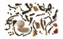 Ο Θησαυρός των Μάγια