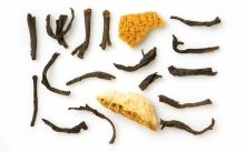 Ρώσικες Νύχτες