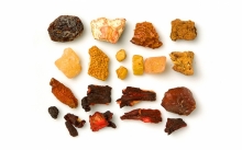 Χριστούγεννα στη Βιέννη