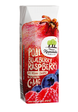 Χυμός Οικογένεια Χριστοδούλου Ρόδι-Blueberry-Raspberry Χωρίς Προσθήκη Ζάχαρης 250ml