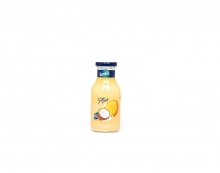 Santal Plus Ανανάς - Καρύδα 250ml