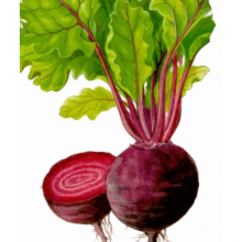 Παντζάρι (1kg)