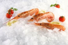 Γαρίδα (500gr)