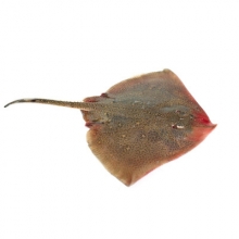 Βάτο Τηγανητό (500gr)