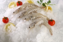 Γαρίδα Vanamei Ιχθυοτροφείου (500gr)