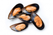 Μύδια Ψίχα (500gr)