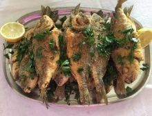 Τσιπούρα Σχάρας Μεγάλη