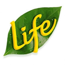 Life Πορτοκάλι - Καρότο - Μήλο 400ml