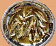 Γαύρος Αχνιστός